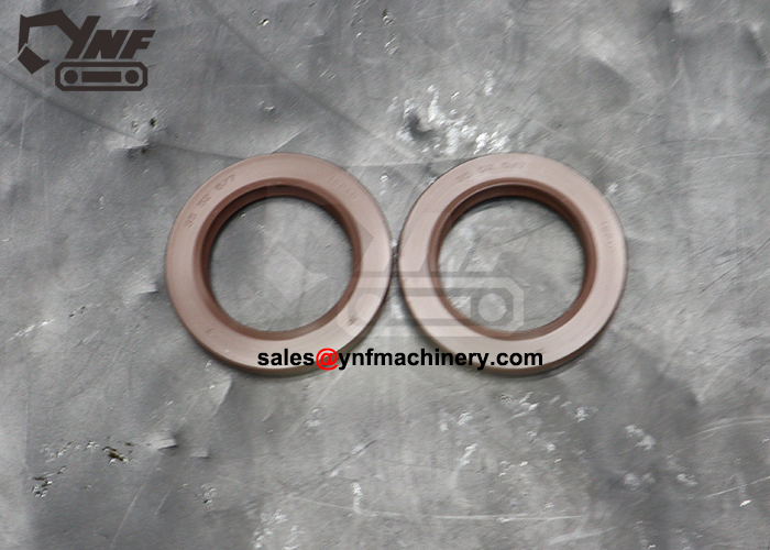 Paraolio YNF12517, TCN1, 355267 YNF12517, vista 2