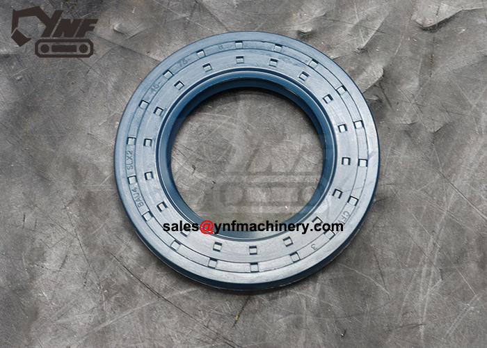 Paraolio YNF17391 YNF17391, vista 1